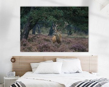 Red deer by Herman de Raaf