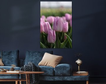 Roze tulp detail foto van Emiel de Lange