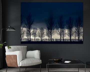 Bomenrij in de winter. van Ellen Driesse