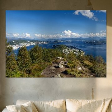 Paysage de fjords près d'Alesund