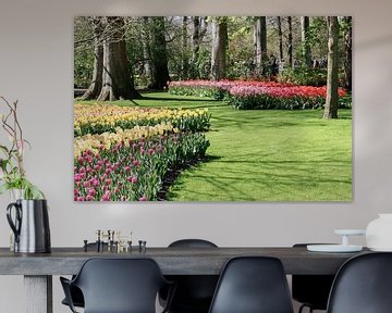 De kleurenpracht op de Hollandse Keukenhof. van Wim van Gerven