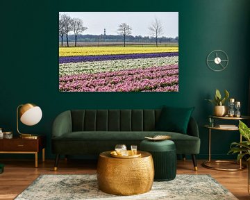 Tulipes et jacinthes sur Henk de Boer