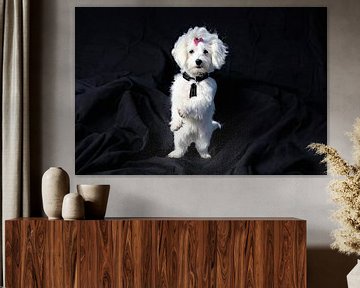 White dog on hind legs black background by Maud De Vries