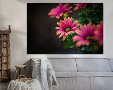 Roze Chrysant | Fine art bloemen foto van Eva Capello