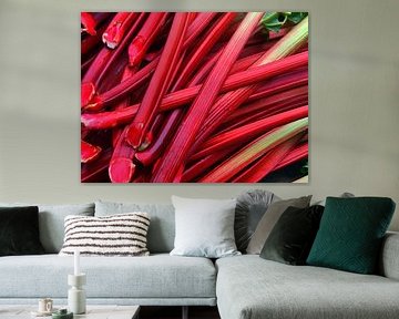 Rhubarb sticks