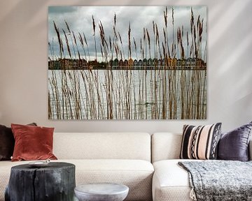 The Reed Lake through the reeds by René Beijer