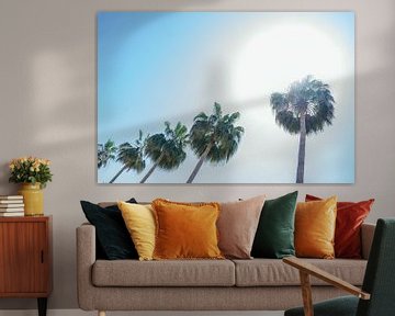 Palmbomen onder de Spaanse zon van Cynthia Rijnsburger Fotografie