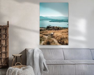 Schafe auf der anderen Seite des Weges mit Blick über Wanaka, Neuseeland von Rianne van Baarsen