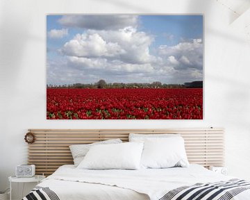een rood tulpenveld met een mooie Hollandse lucht van W J Kok