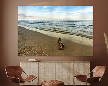 Drijfhout op het strand aan de Oostzee in Usedom van Animaflora PicsStock