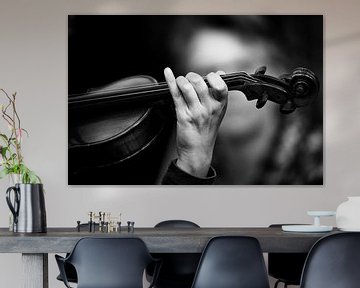 Violin by Rene Kuipers