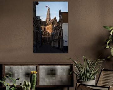 Blick auf die Bavo Kirche in Haarlem von Manuuu