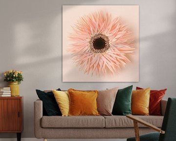 Bloem pastel / Gerbera met licht roze achtergrond van Photography art by Sacha