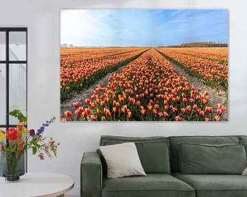 Tulpenvelden op Goeree-Overflakkee van Wessel Dekker