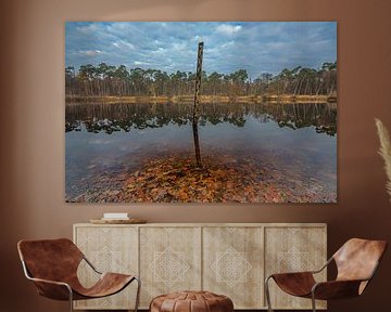 Oisterwijk - Herfst bij de Oisterwijkse Bossen en Vennen van Frank Smit Fotografie