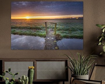 Alphen aan den Rijn - Polderzicht - Sonnenaufgang von Frank Smit Fotografie