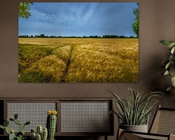 Beek - Montferland - Grainfield sur Frank Smit Fotografie