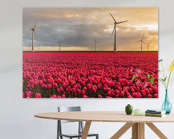 Red tulips in a field with wind turbines in the background by Sjoerd van der Wal