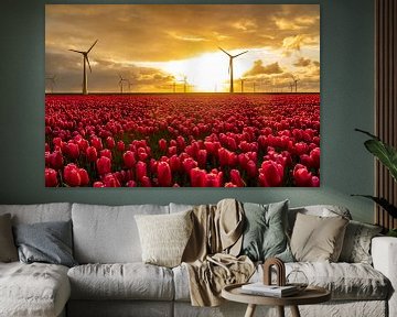 Rode tulpen in een veld met windturbines op de achtergrond