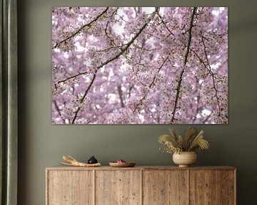 La beauté du printemps : un nuage de fleurs roses sur Ingrid de Vos - Boom