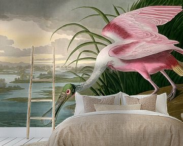 Roseate Spoonbill, Robert Havell after John James Audubon