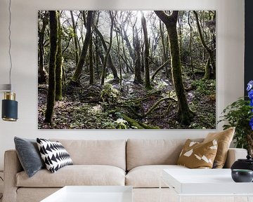 Forest - La Gomera by Maurice Weststrate