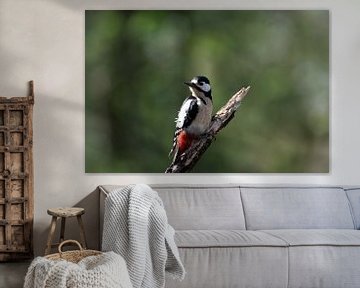 The great spotted woodpecker by Roy IJpelaar