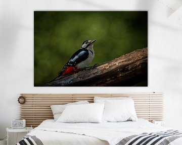 The great Spotted Woodpecker! by Roy IJpelaar