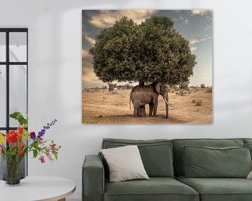 Elefantenstillleben "sicher unter dem Baum"