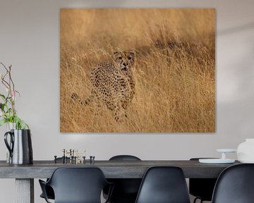 Cheetah one with the landscape. by Willeke van Vulpen