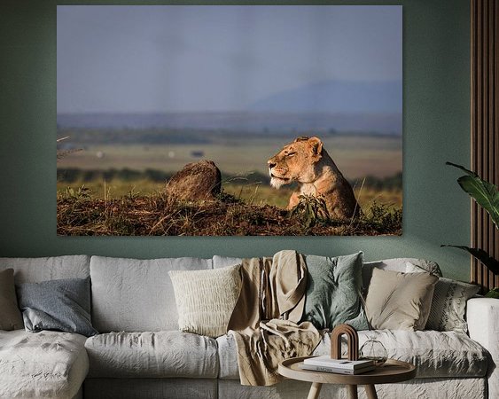 Aperçu de la chambre