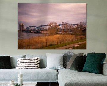 Ufer der Elbe mit Stahlbrücke von Kim Phillip Brosien