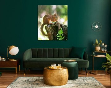Eichhörnchen von Sandra de Vries-Köhler