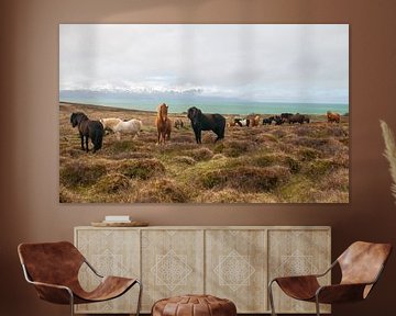 Icelandic horses by Sandra de Vries-Köhler
