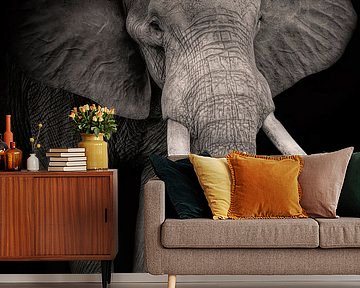Portrait beautiful elephant in black and white by By Marjolein Design