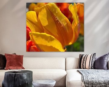 Yellow tulips by Marianna Pobedimova
