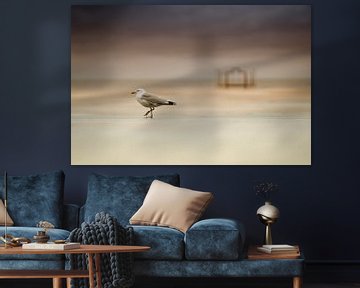 A seagull in Ostend by Rik Verslype