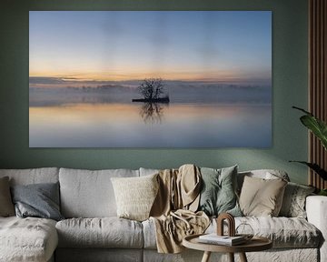 Nieuwkoopse Plassen - Sonnenaufgang von Frank Smit Fotografie