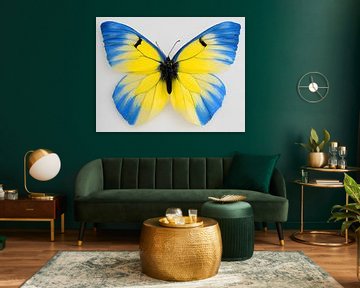 Oekraïense vlinder van Jacco Hinke