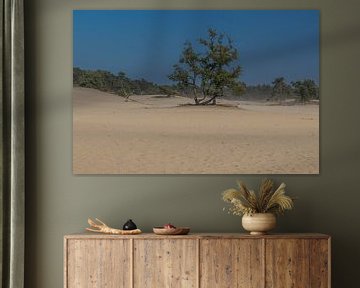 Dunes de Loonse et de Drunense - Dérives de sable sur Frank Smit Fotografie