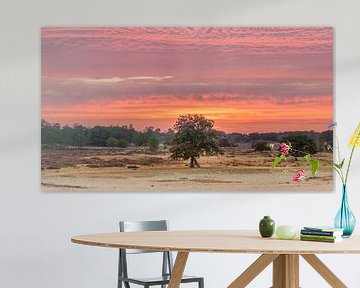 Loonse en Drunense Duinen - Zonsondergang van Frank Smit Fotografie