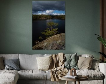 Zweden, het natuurlijke landschap van licht en donker van Bart Cox