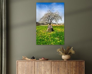 Houten stoel gemaakt van een boomstam in een weiland met paardenbloemen en een bloeiende kersenboom van ManfredFotos