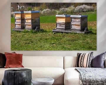 Apiculture avec des ruches en bois sur ManfredFotos