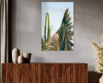 With your nose in a palm tree in Crete, Greece by Milou Emmerik