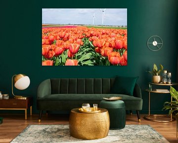 Tulpenvelden in de lente van Jana Weber