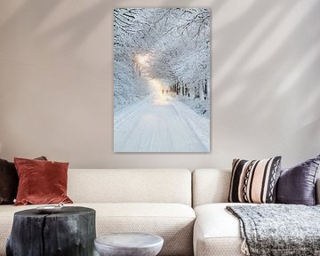 Winter in Otterlo