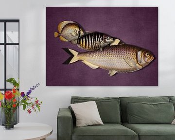 3 Fish - the Purple Edition van Marja van den Hurk