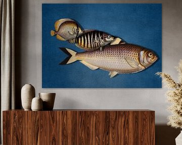 3 Fish - the Blue Edition sur Marja van den Hurk