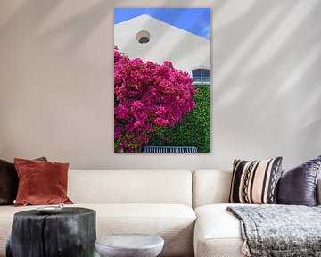 Roze Bougainvillea bloesem in Lissabon van StudioMaria.nl